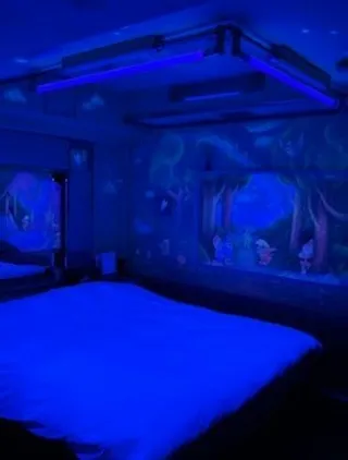 忙しくてまた水槽を撮り忘れてしまった。