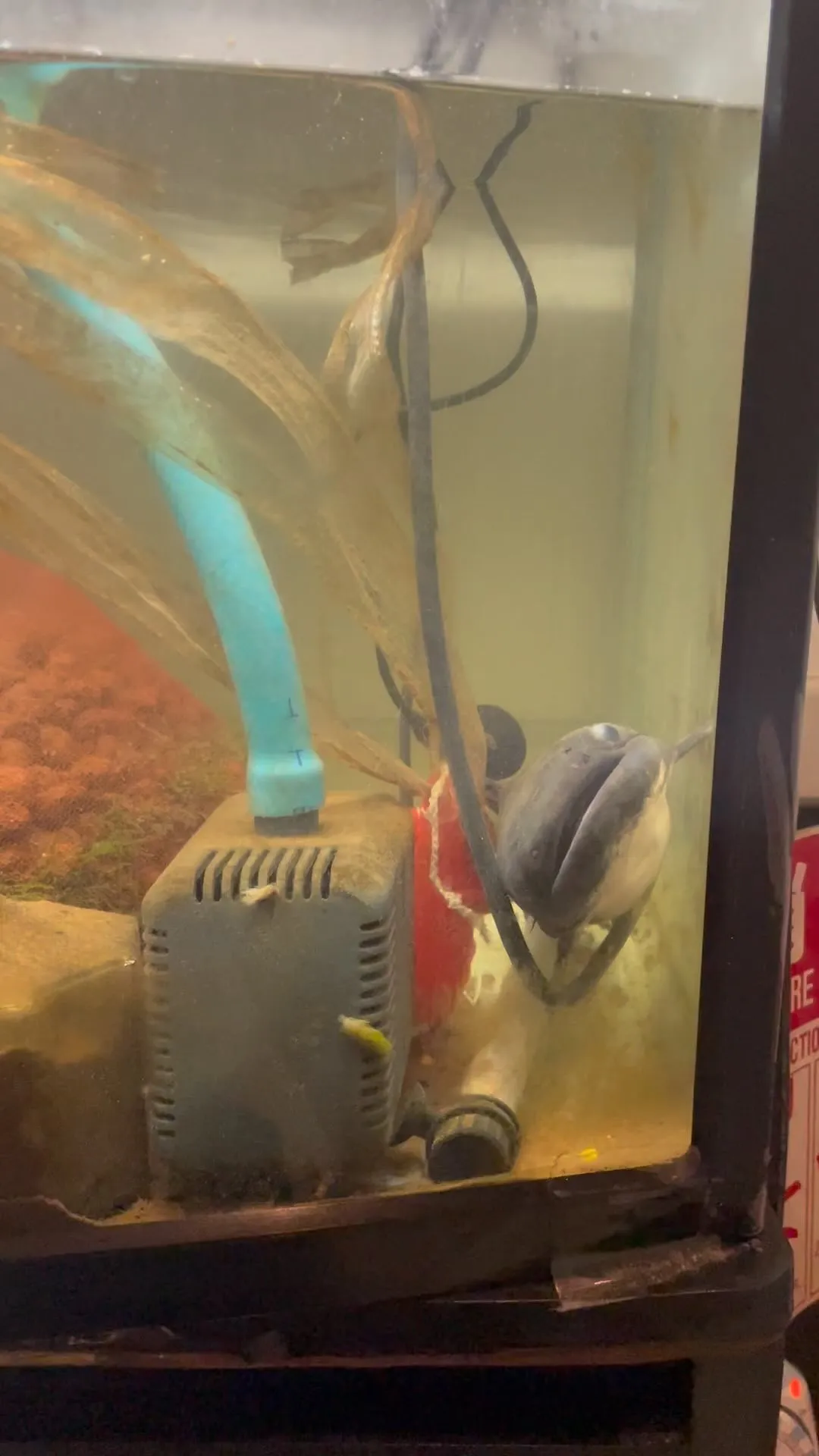 現在スムーズにご案内できます。