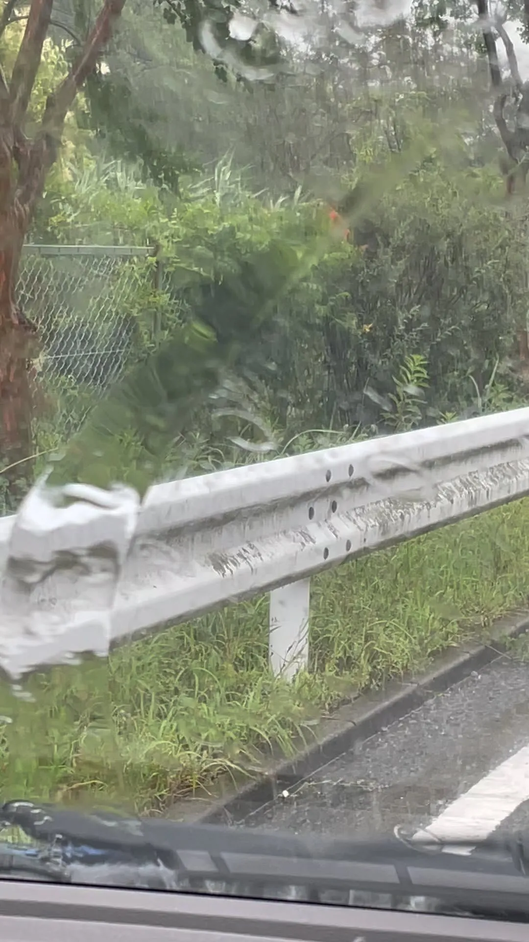 バケツをひっくり返したように雨降ってましたので、足元気をつけ...