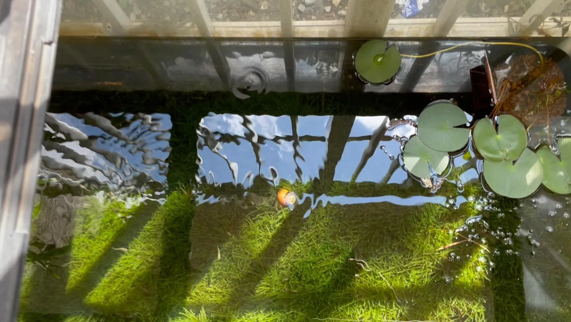 おはようございます！