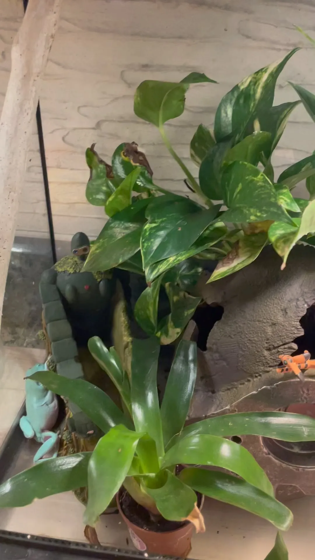 現在空室残りわずかですが、まだスムーズにご案内できます。