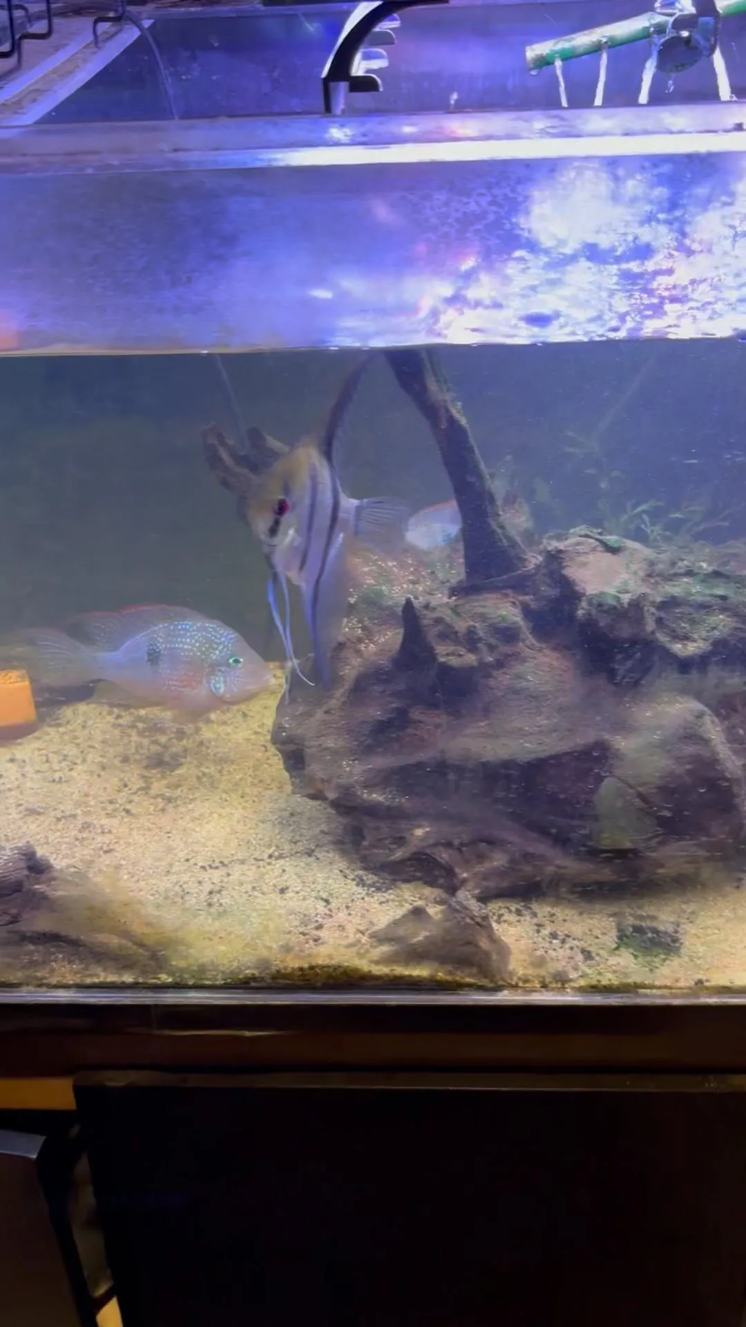 現在空室3部屋、清掃中2部屋でスムーズにご案内できます。