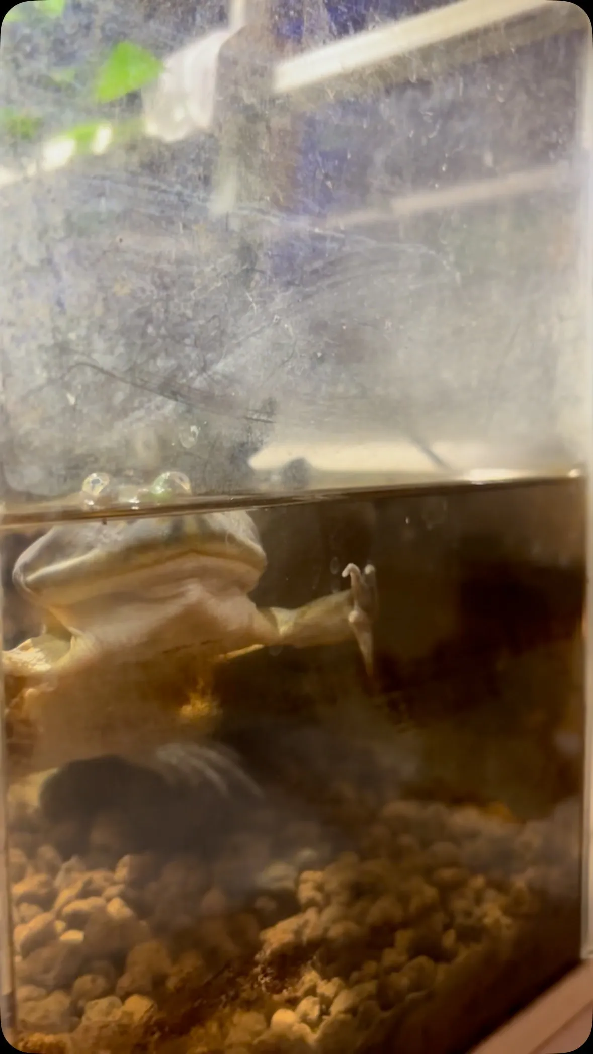 お前今日女性客にモテモテやったな。