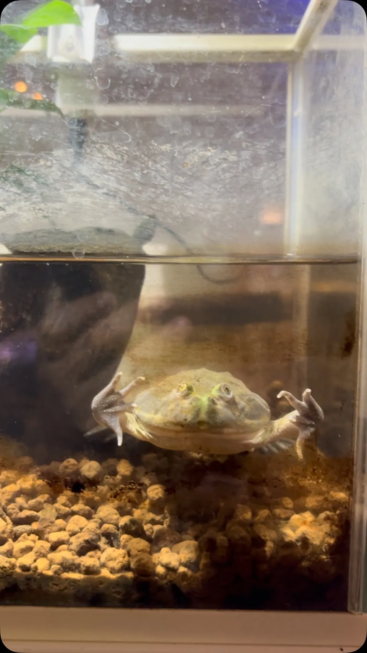 うーん、今日は平日ですね。