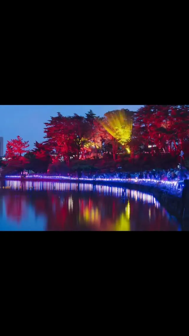 今日明日と千葉公園でYohaS 2025アートフェスが開催さ...