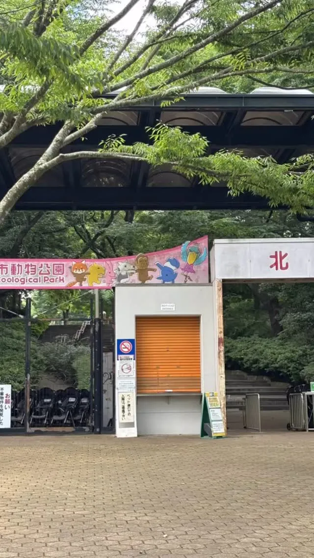 昨日は久しぶりに千葉市動物公園に行ってきました。