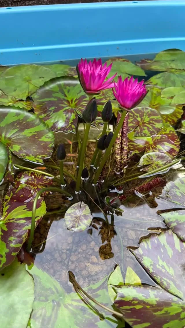 年に一度しか会えない方もぜひ当ホテルで！