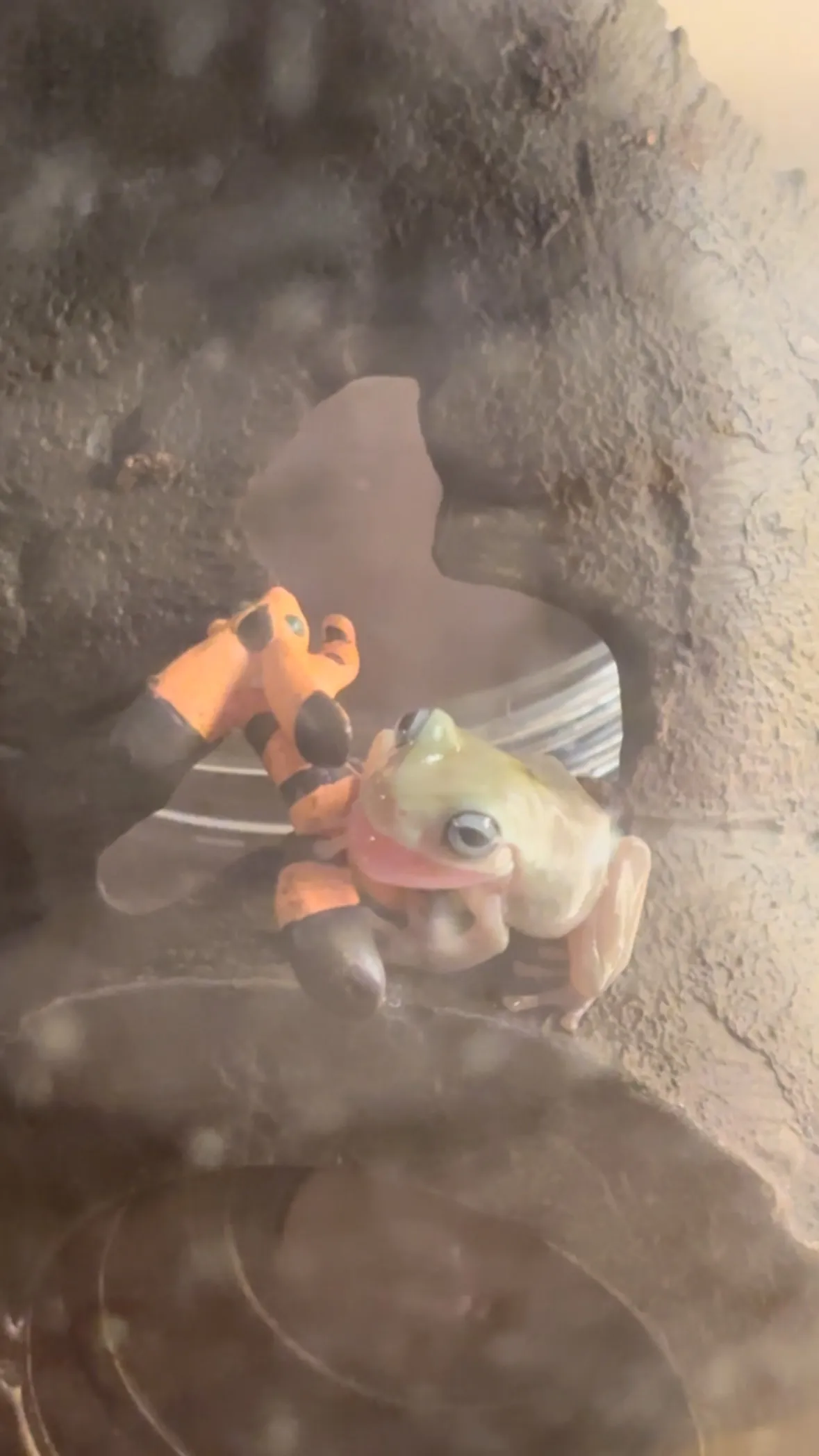 多くの方が今日からお盆休み！