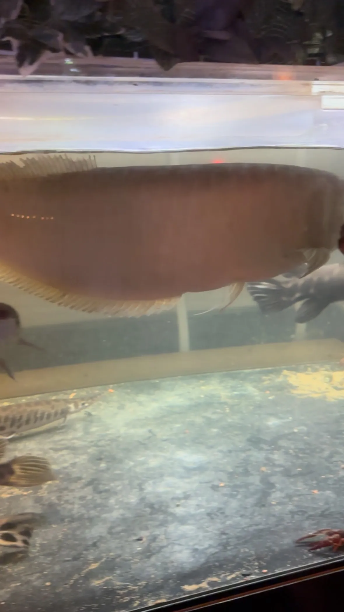 現在空室あります。