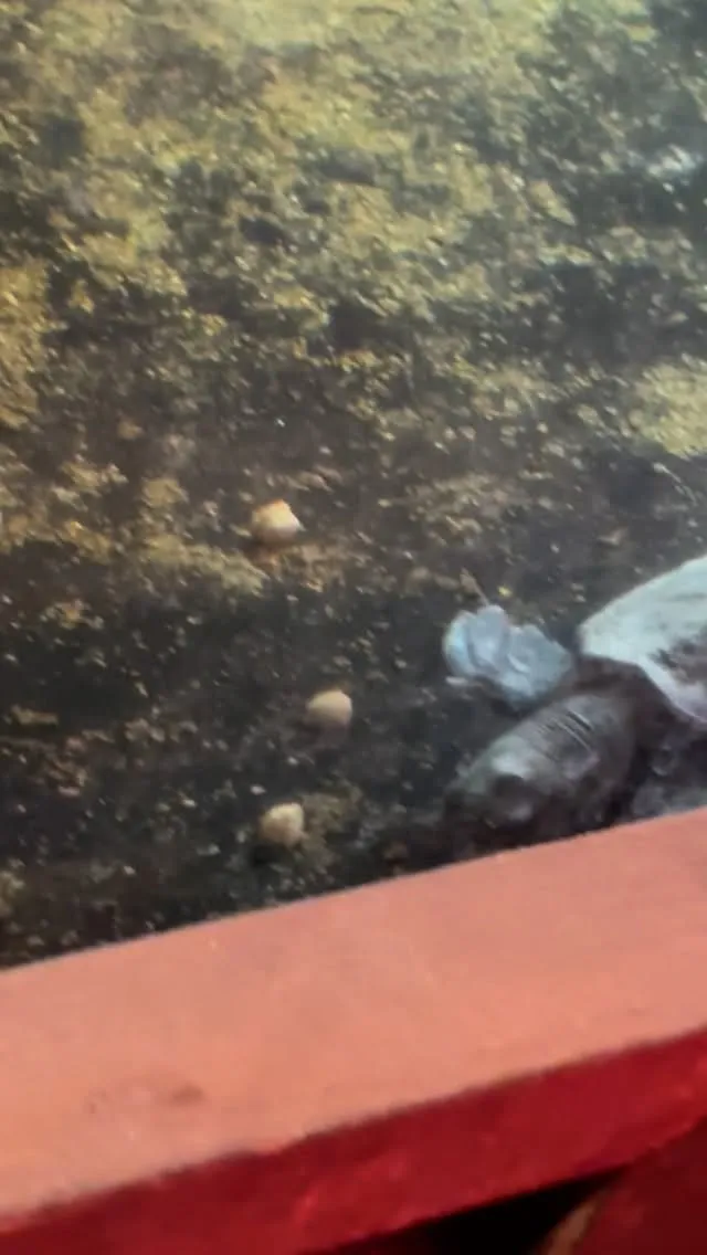 空室状況はお電話でお問い合わせください。