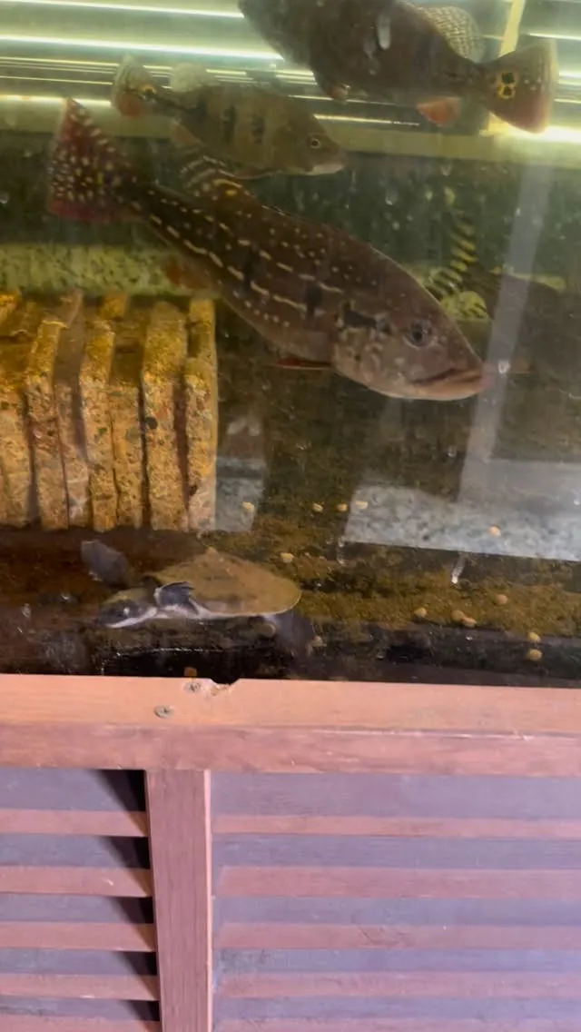 今日は久しぶりに暇そうです。