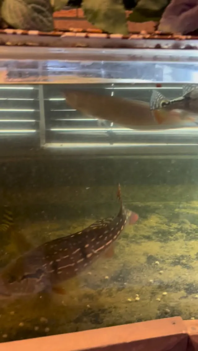 現在スムーズにご案内できます。