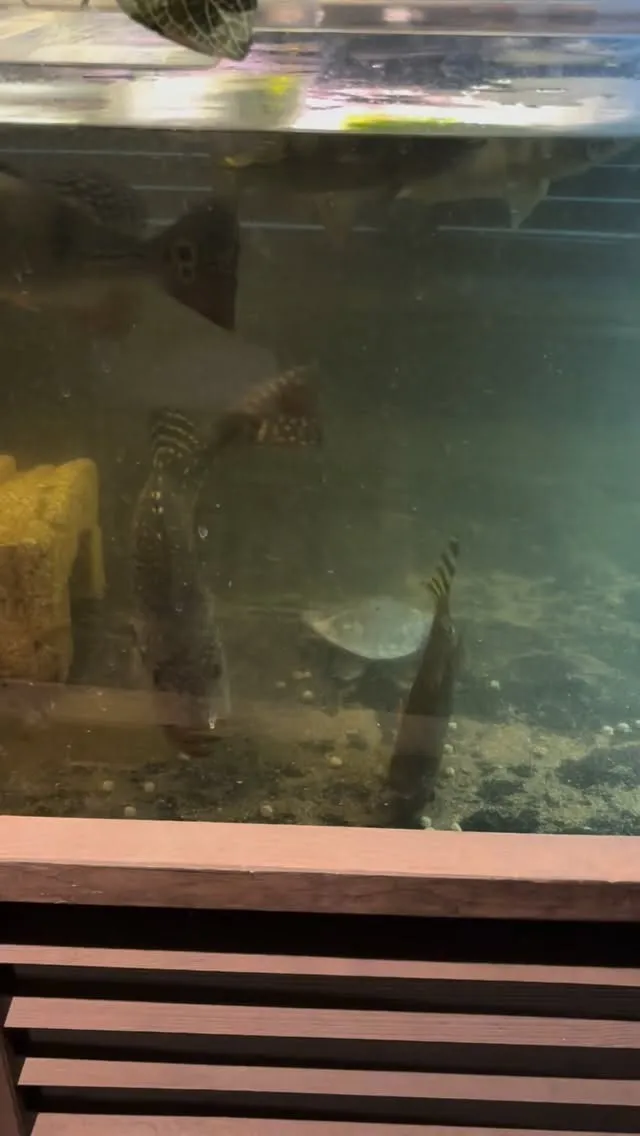 昨日の夜から忙しかったんですが、現在暇になっちゃいました〜。