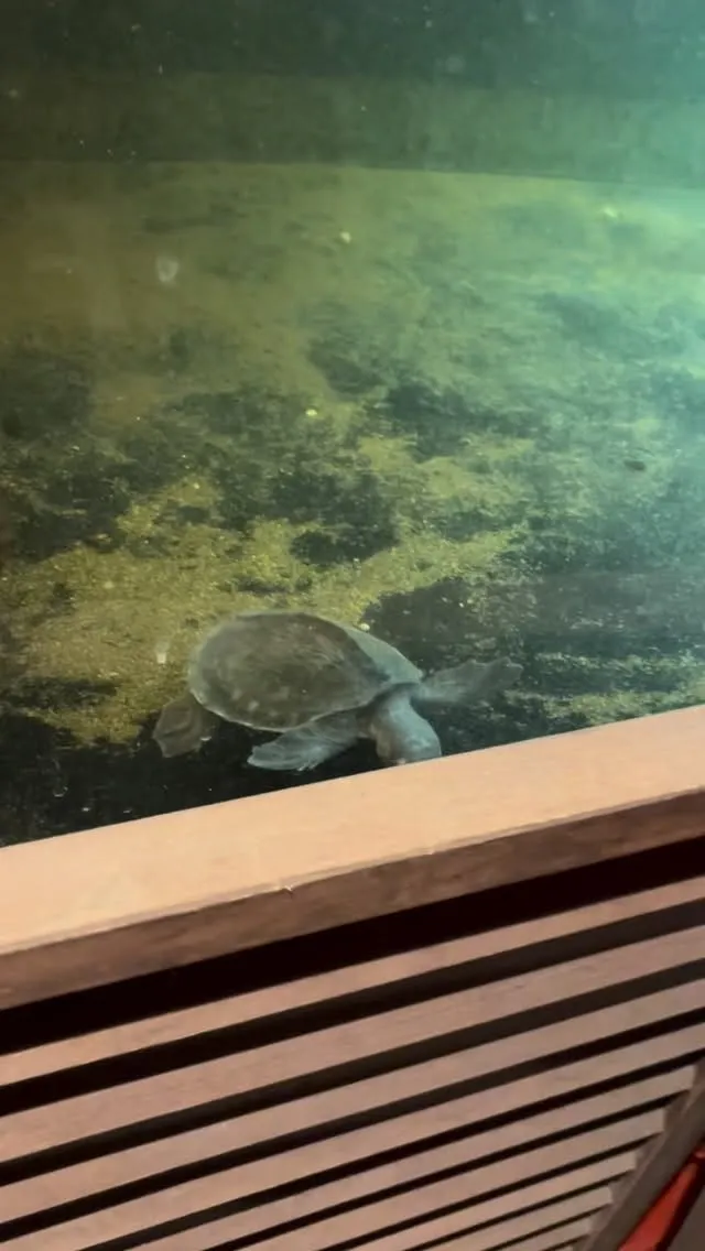 現在スムーズにご案内できます。