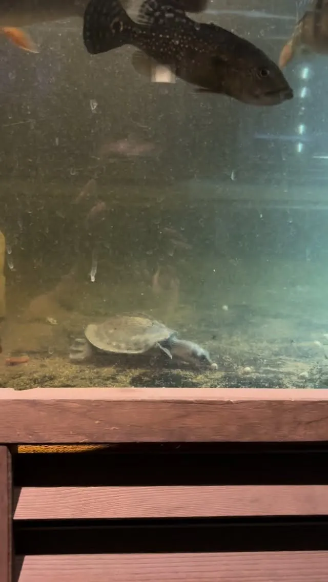 現在空室3部屋です。