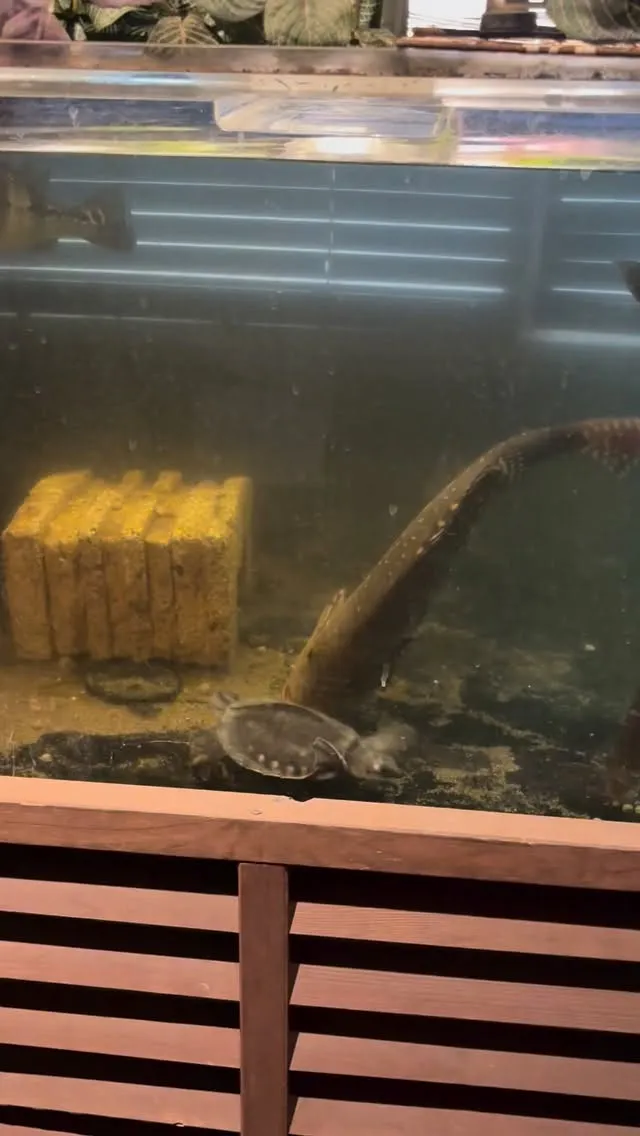 現在スムーズにご案内できます。