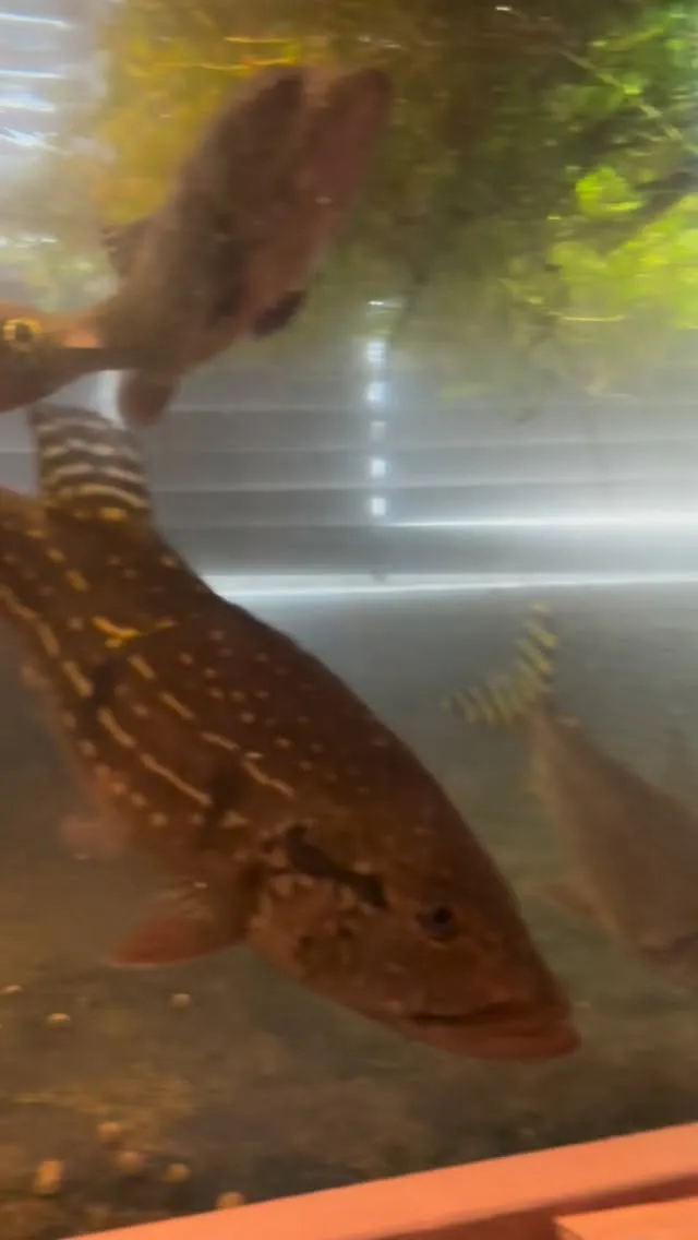 現在少し空室あります。