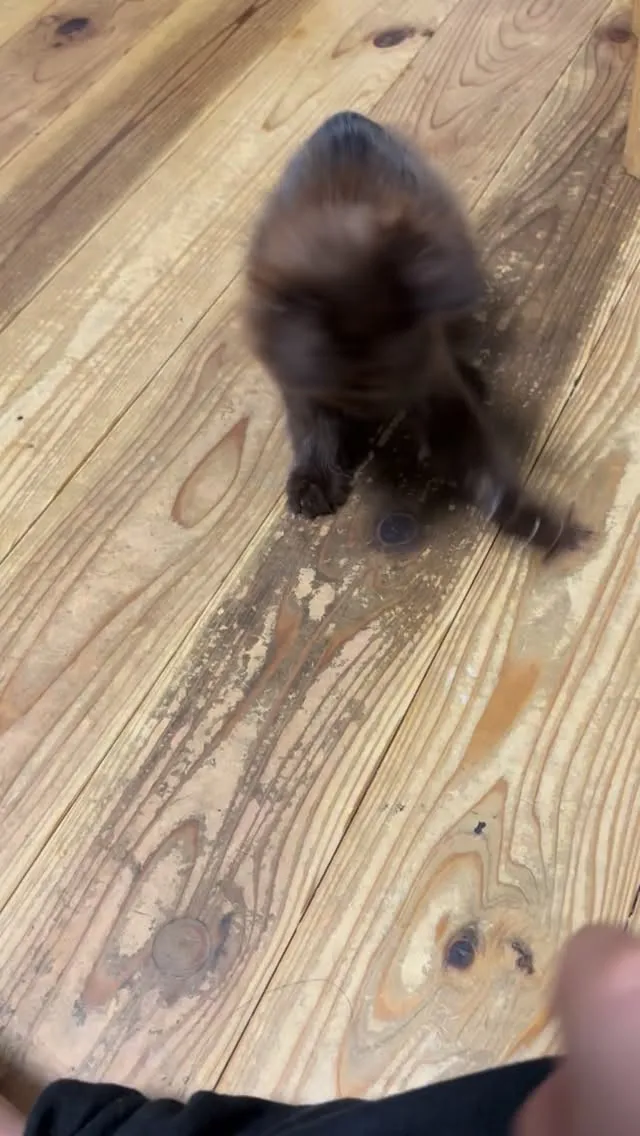 現在少し空室あります。