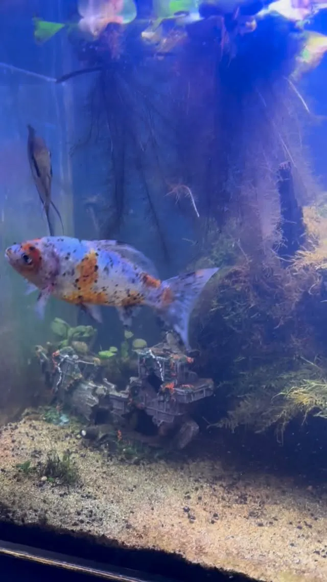 3連休始まりますが、現在スムーズにご案内できます。