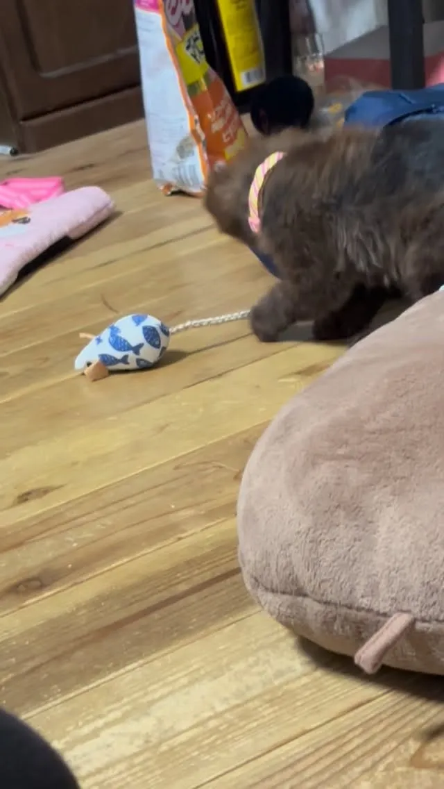 連休も最終日ですが、この時間スムーズにご案内できます。