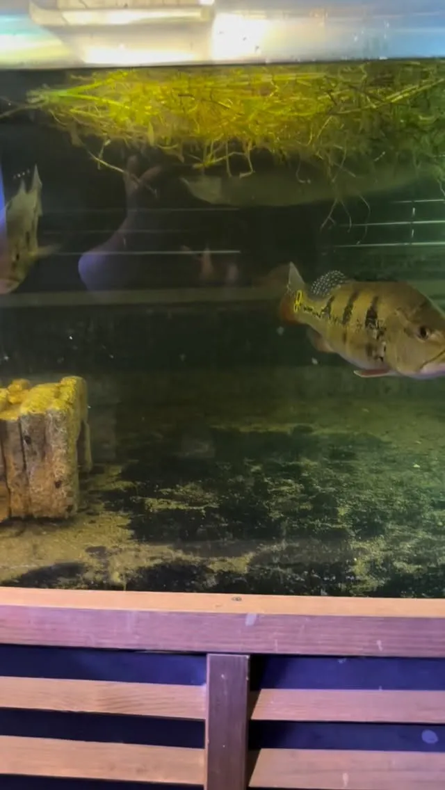 現在お部屋空いてきました。