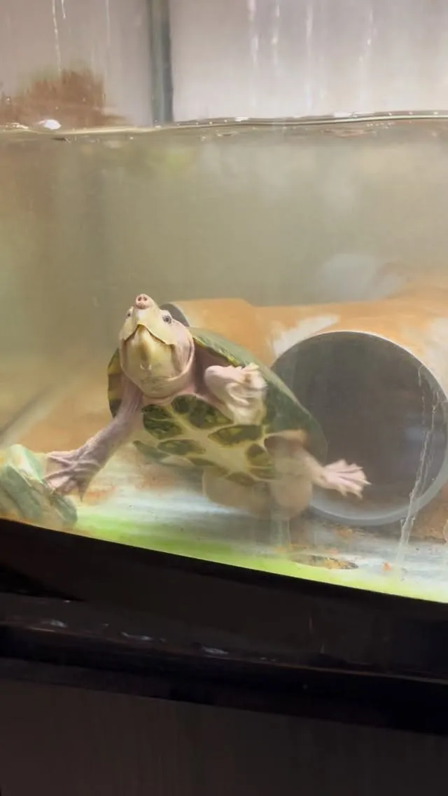 結構人気です♪