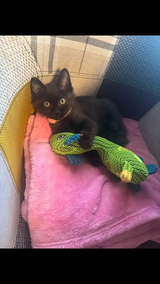 おはようございます！