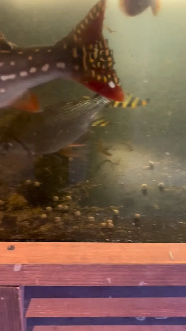 現在空室1部屋です。