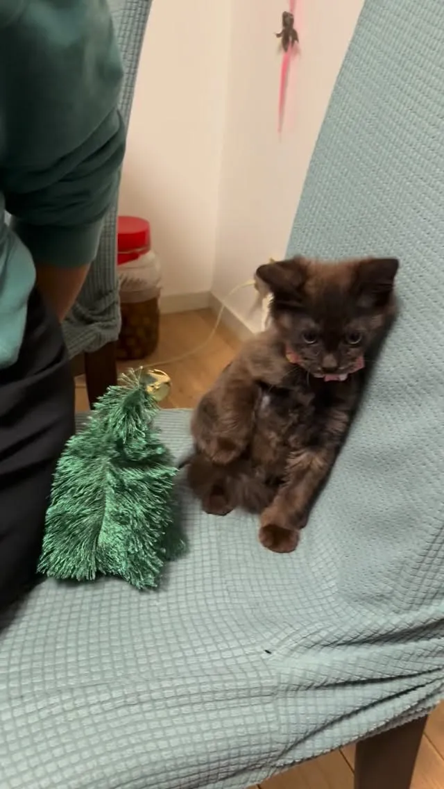 お部屋少し空いてきました。