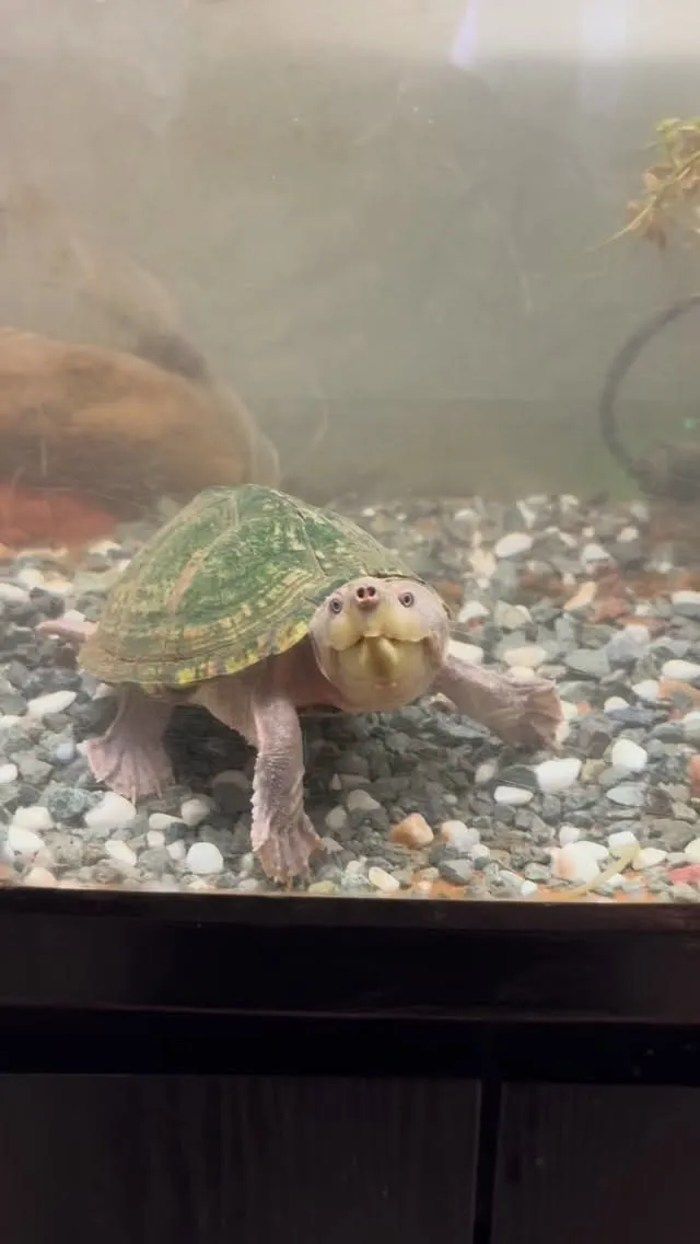 金曜日は日中は空室余裕あります。