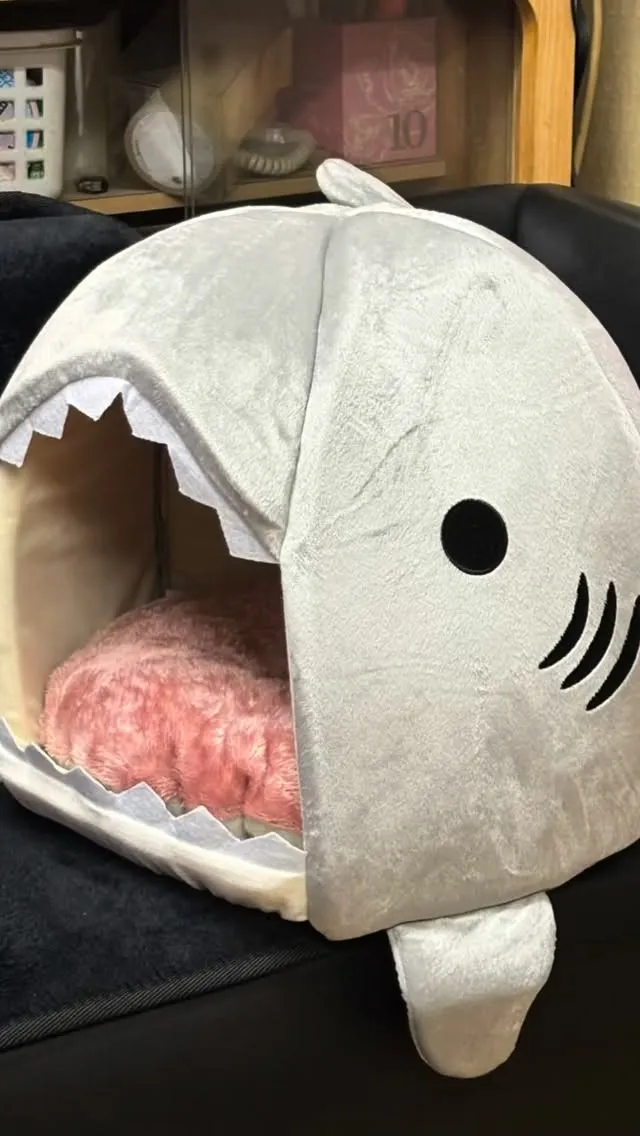 ようやく届いたけど、当然思うようにはいかないわけでして・・・