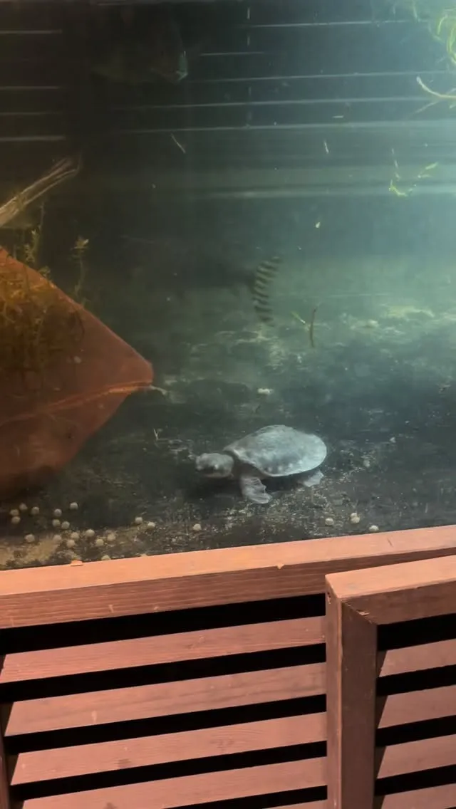 少し大きくなったかな？