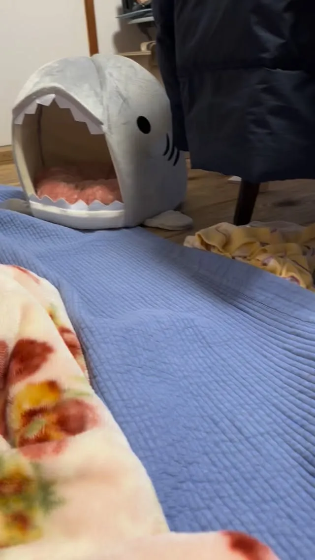 えー、世の中思い通りにはいかないものでして・・・