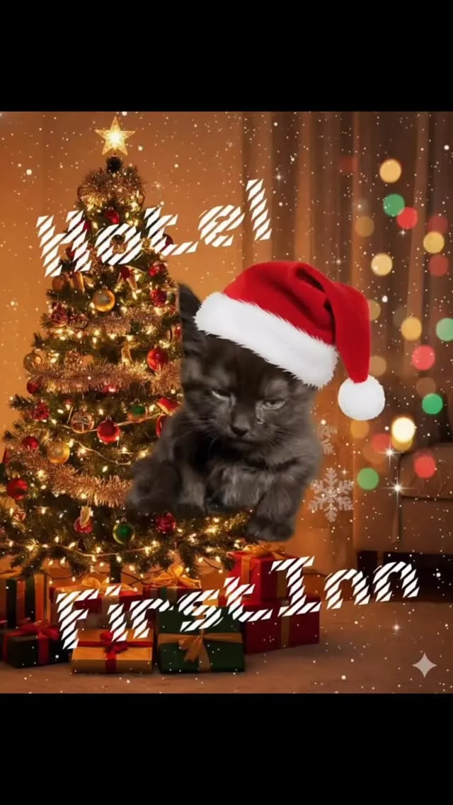 雨は夜更け過ぎに雪へと変わるだろう可能性は千葉市だと低いです...