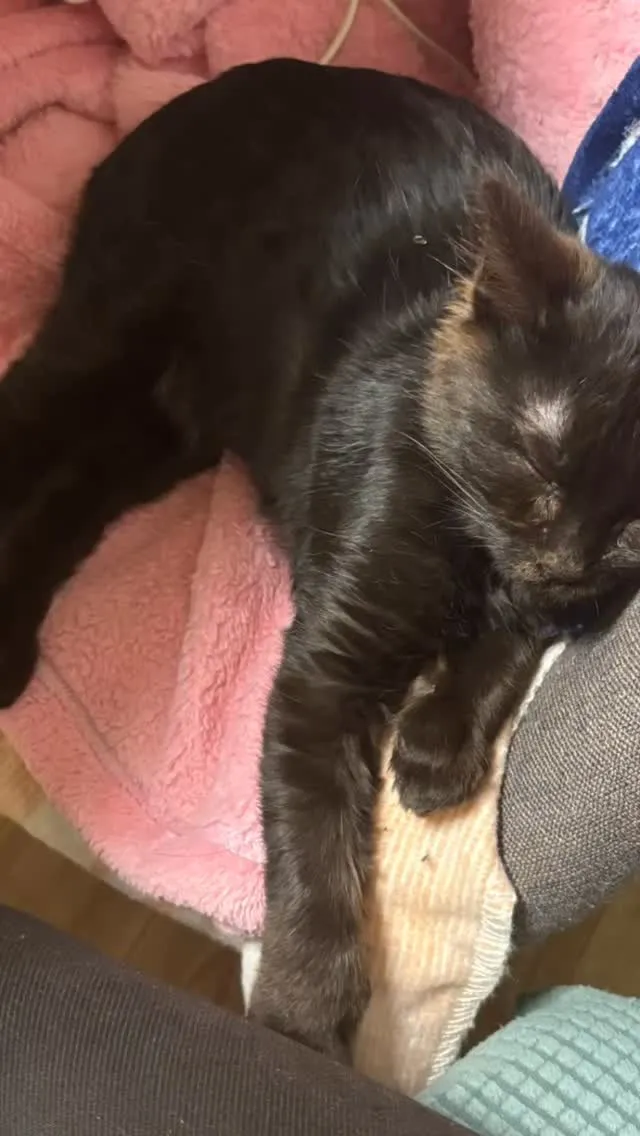 現在空室3部屋です。