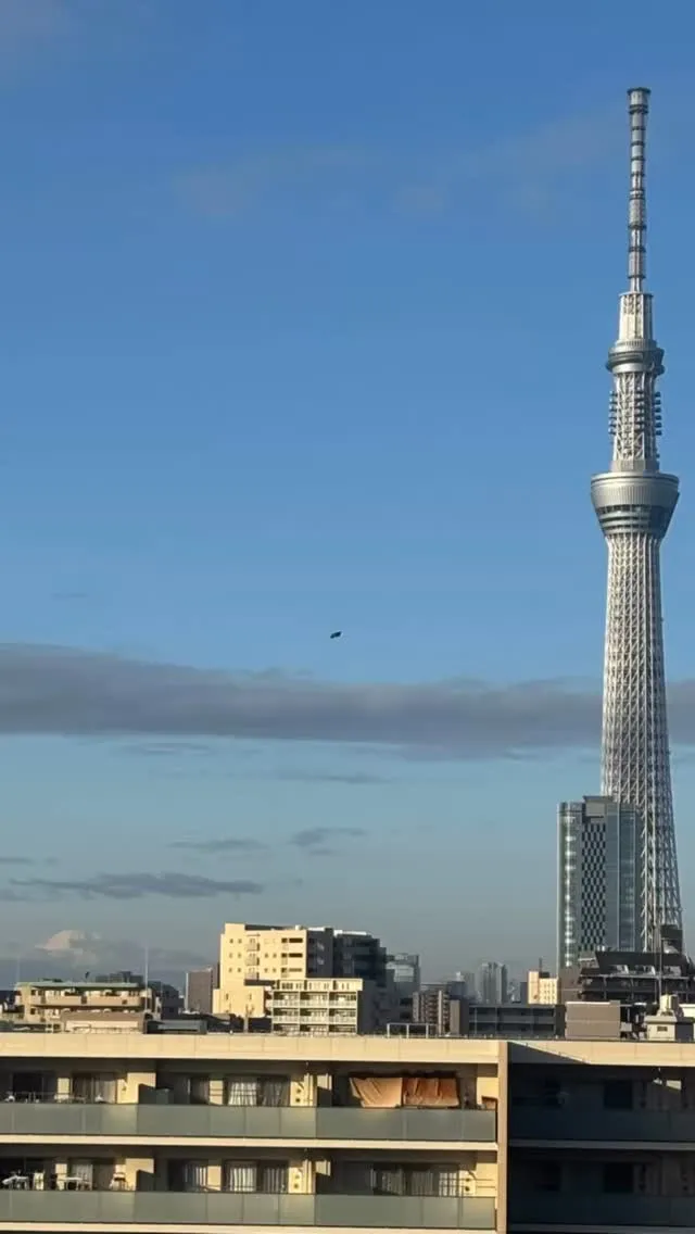 カミさんの実家から。