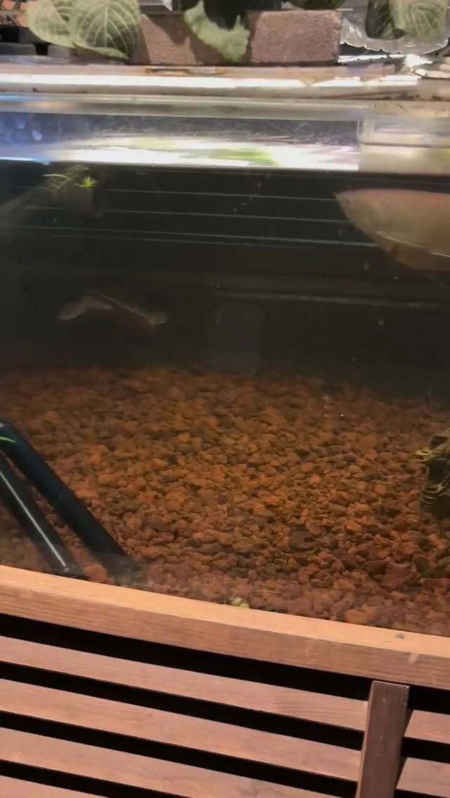 今の時間かなり空いてます。