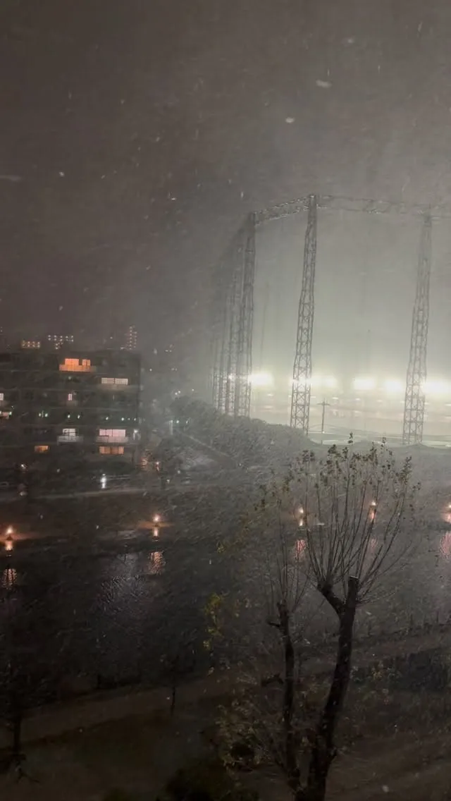 カミさんの実家から。