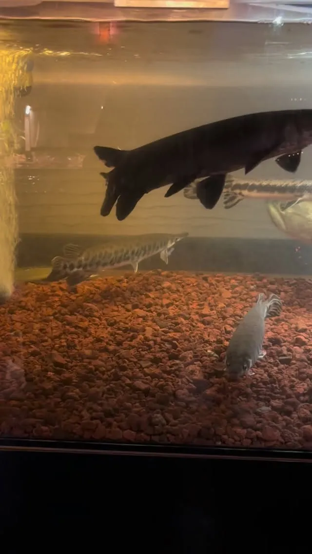 現在空室3部屋です。