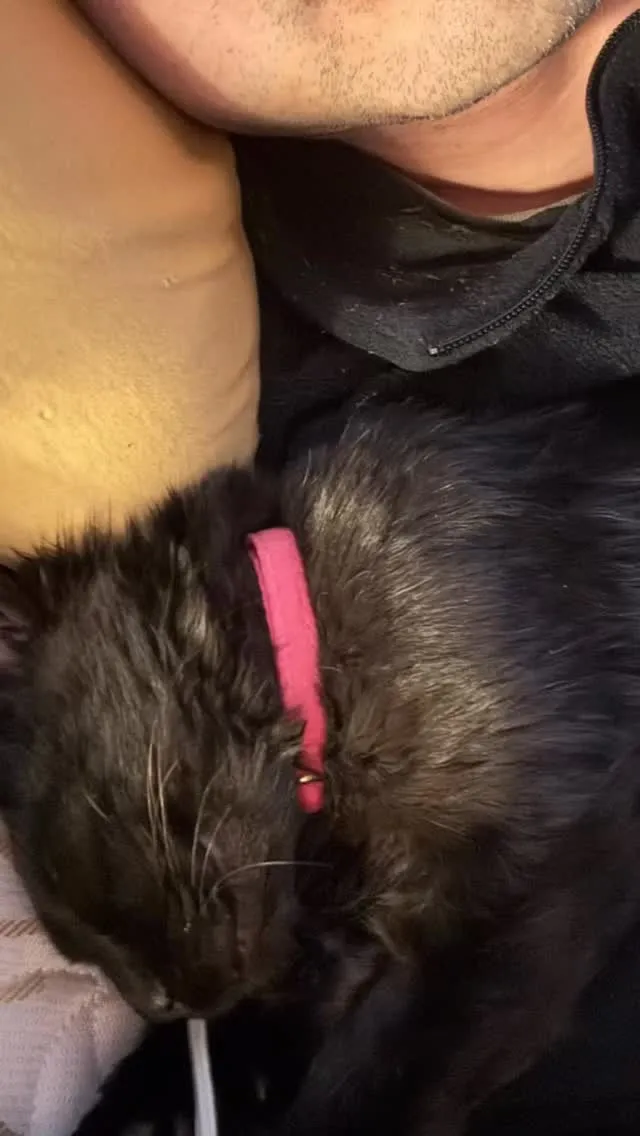 お昼食べて店行って事務処理したいからどいてくれ〜