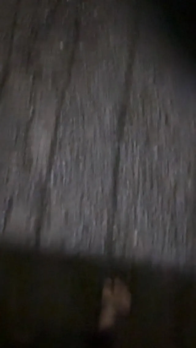 昨日は24時間勤務の上に今日も昼から業者と打ち合わせ。