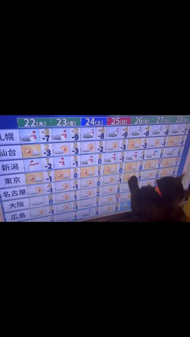 猫もテレビボードから落ちる。
