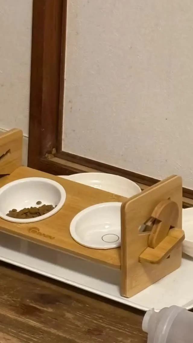 餌入れ買ってあげたのに空箱でなにしてんねん。