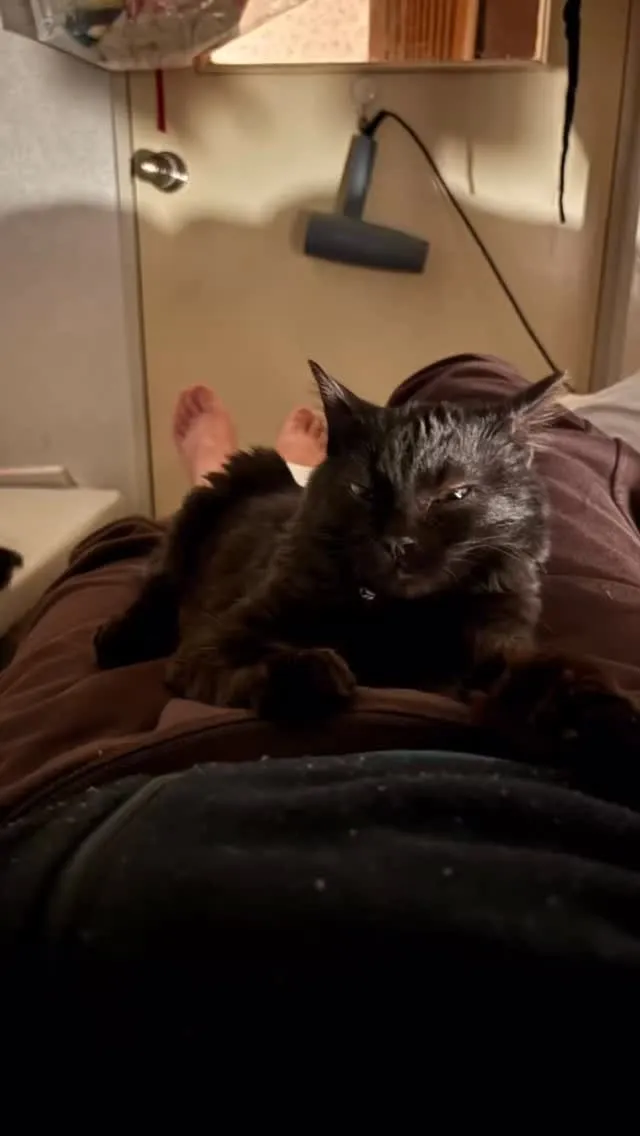 トイレに行けん。