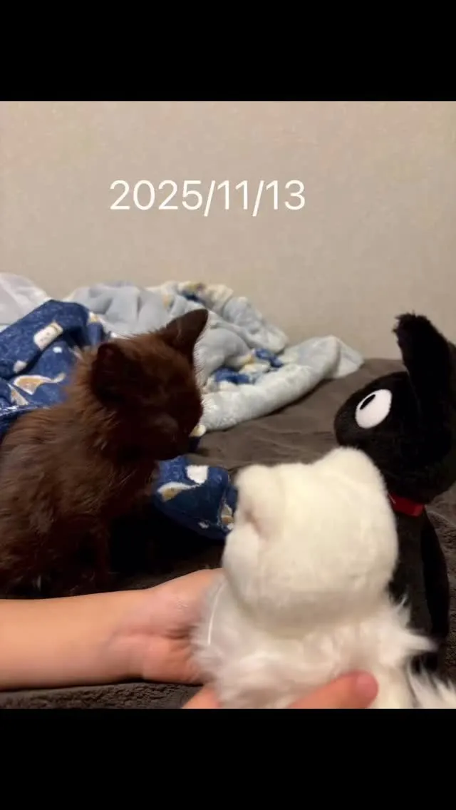 まだうち来て3ヶ月ほどか。