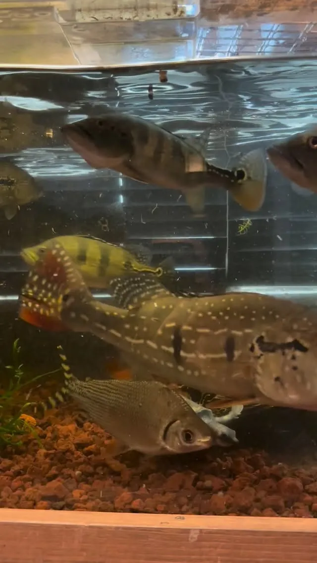 昨日は雨の中、多くのご来店いただきありがとうございました！