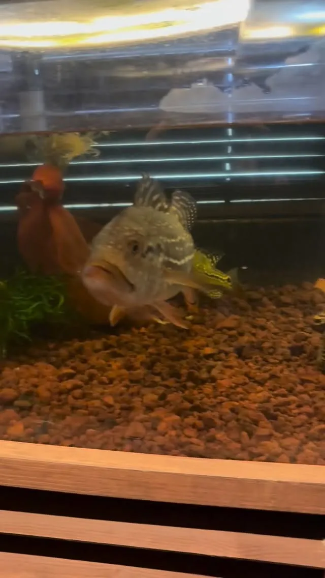 あいにくの天気ですが、恵みの雨。