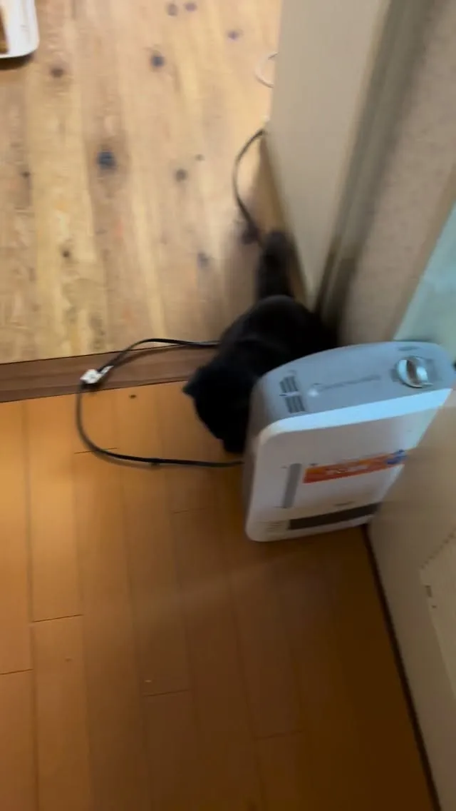 働き通しで帰ってきたら付き合わされて。