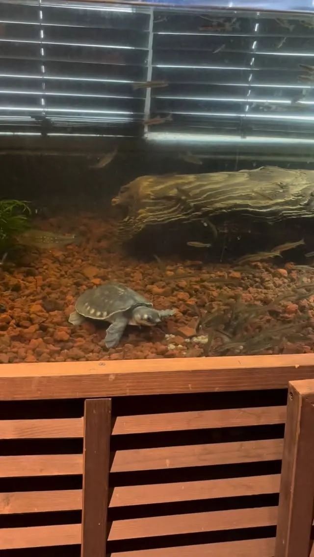 現在スムーズにご案内できます。