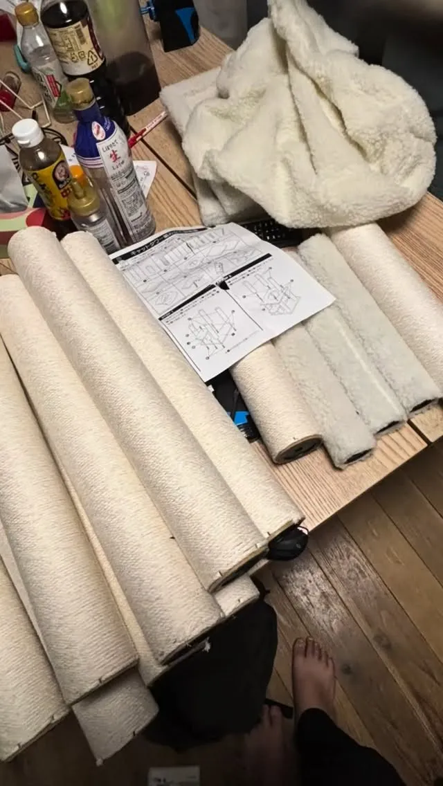 初めてのキャットタワー。